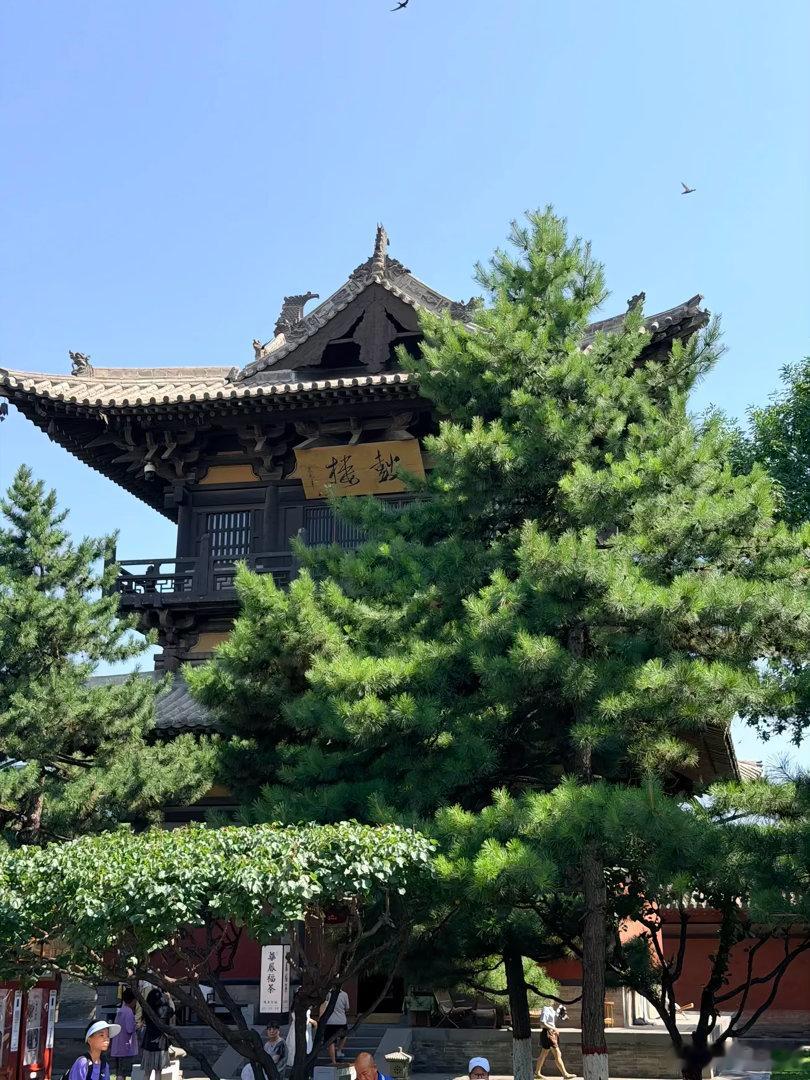报备一下哈哈哈哈哈，在泡温泉 