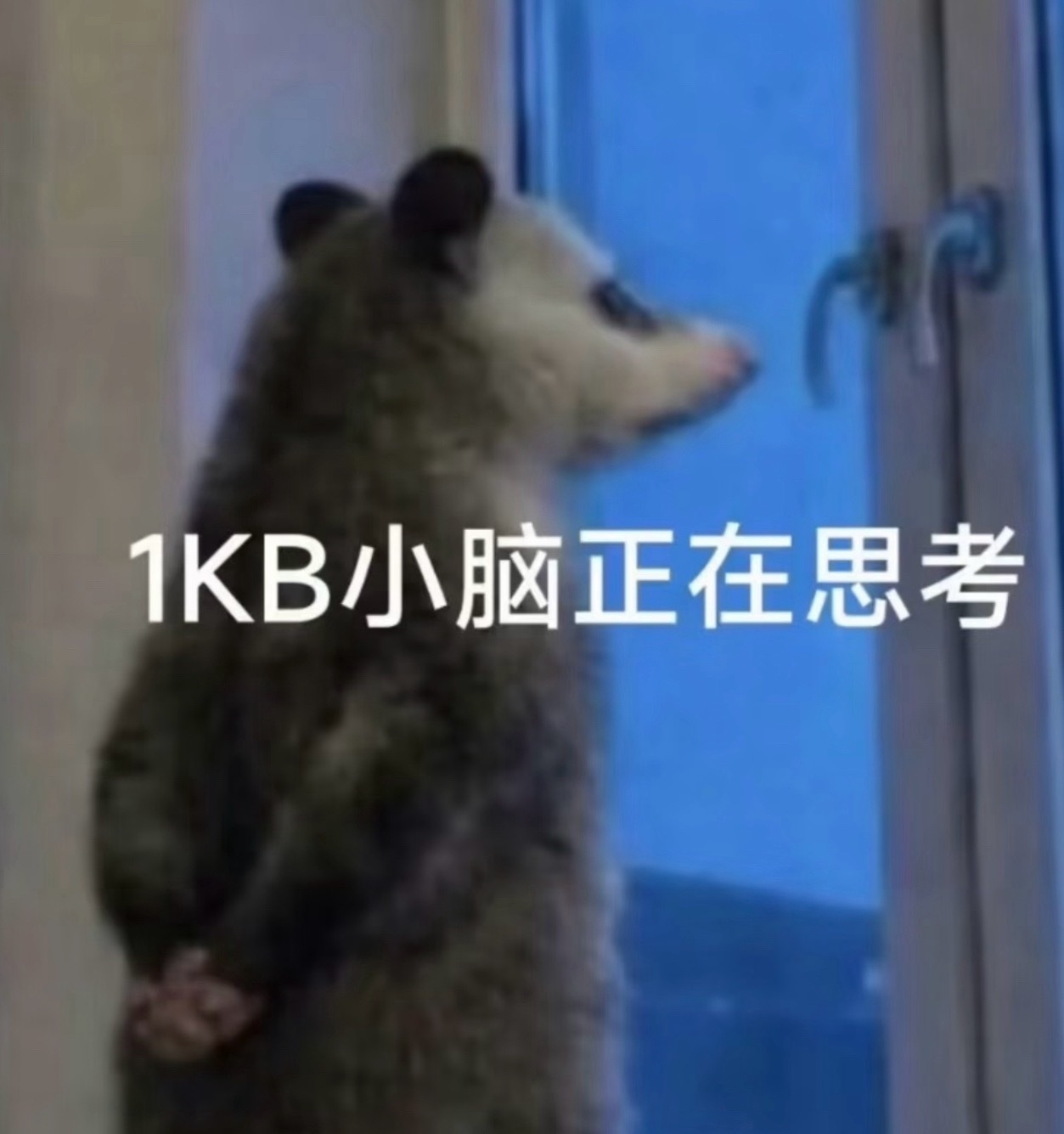 【🦔叨叨乐】宝宝们中午好！大家来预测一下今天的比赛结果吧KPL