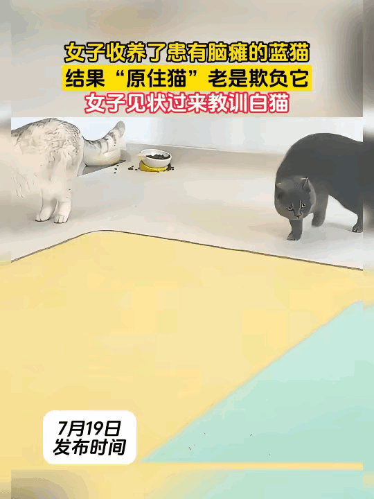 真的特别戳心，不是所有小动物，都能拥有平等安稳的小家。
          一位