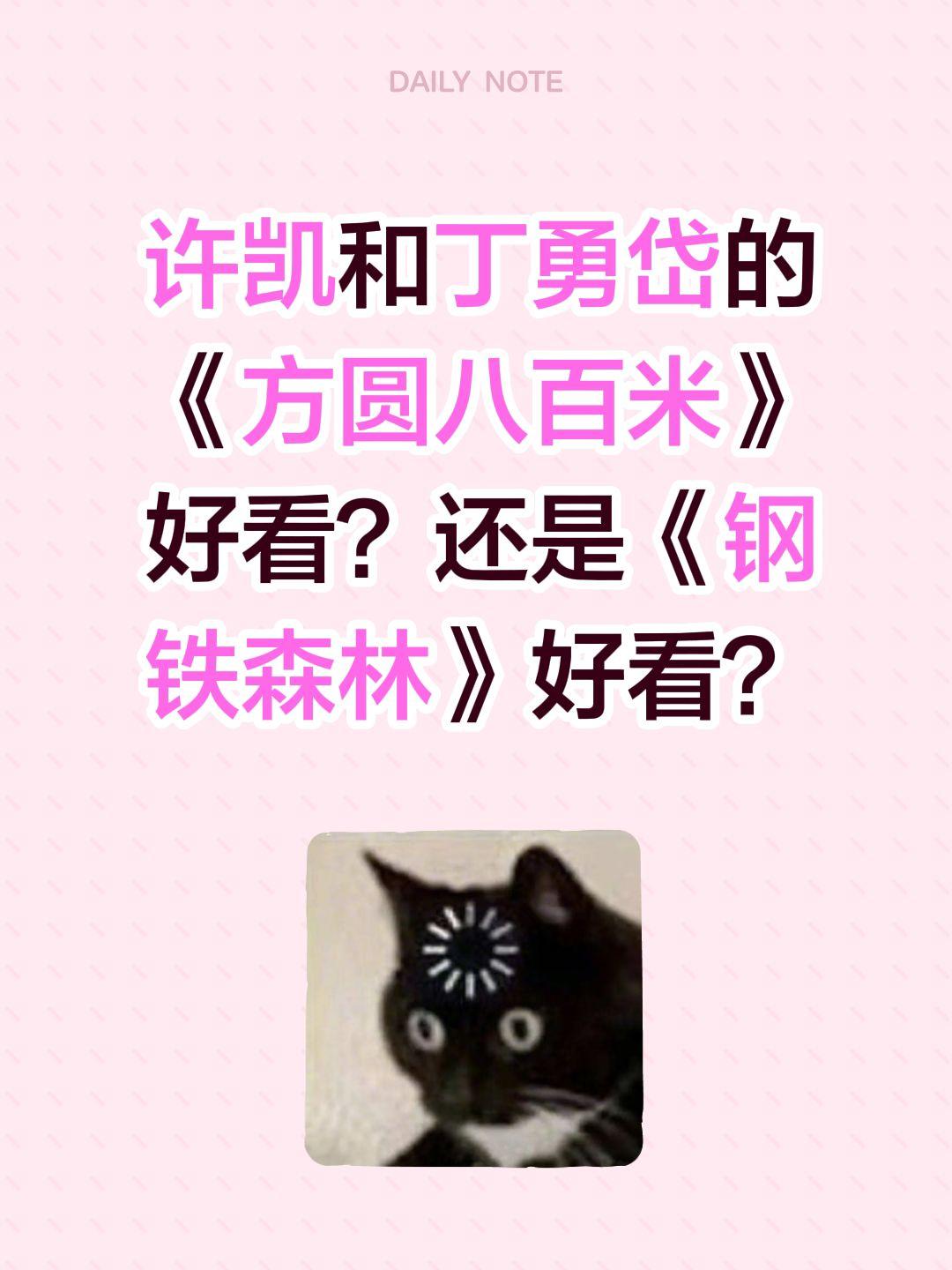 许凯和丁勇岱的《方圆八百米》好看？还是《钢铁森林》好看？方圆八百米 许凯 丁勇岱