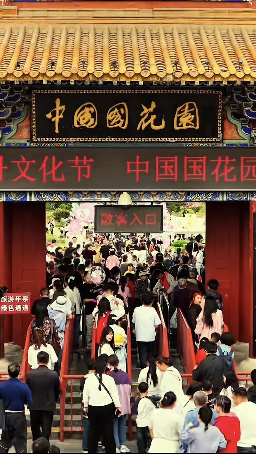 洛水之畔，牡丹承千年❤️暮春的洛阳，洛水南岸的中国国花园被熙攘的人潮裹着暖意。朱