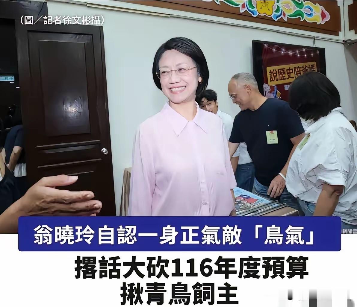 翁晓玲主导删冻2026年岛内总预算，再次证明了蓝白制衡绿方唯一的权力就是删减总预