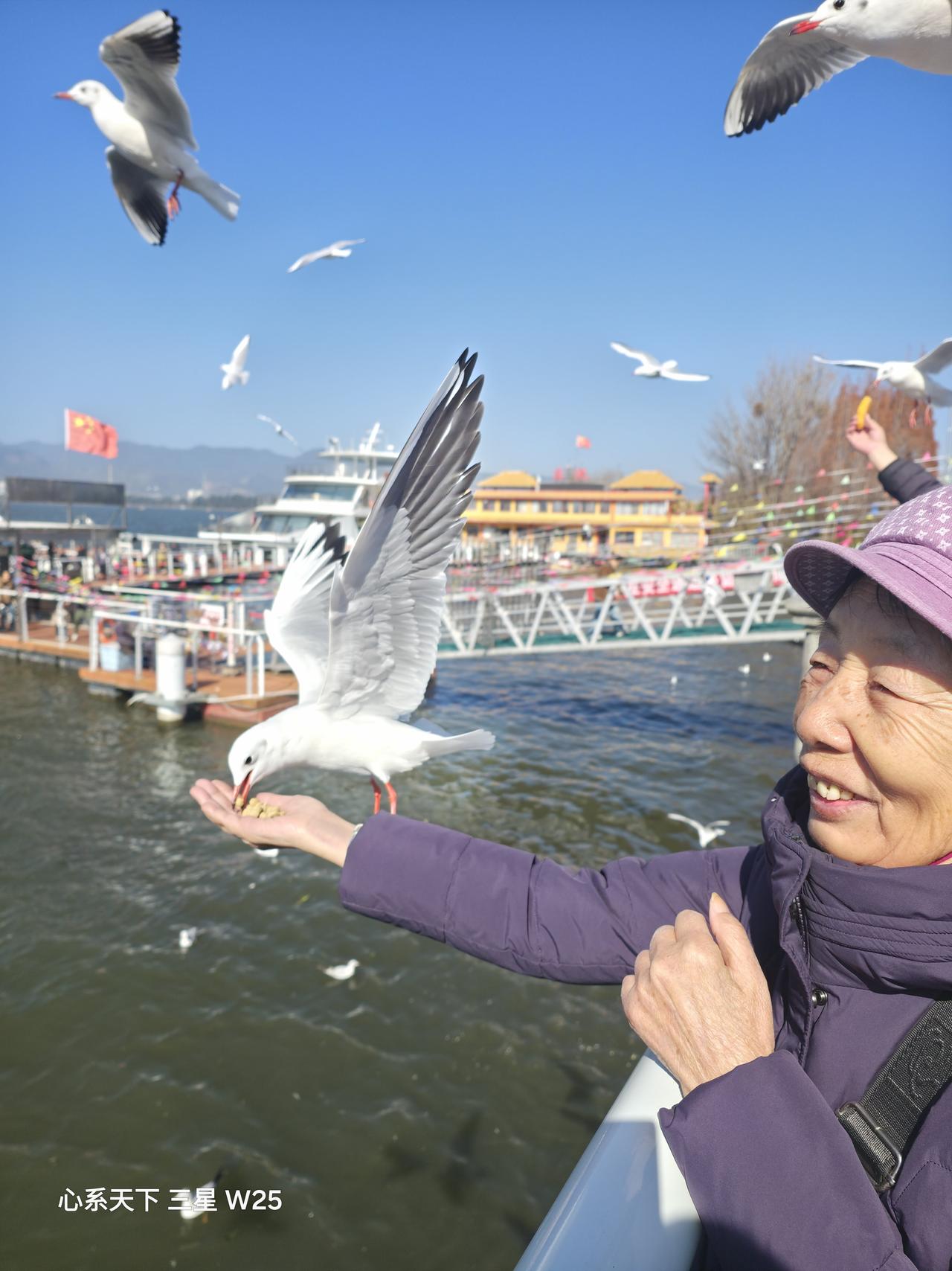 分享一张最近随手拍的照片陪老妈游昆明海埂大坝，喂食海鸥看老妈高兴的。[捂脸][捂