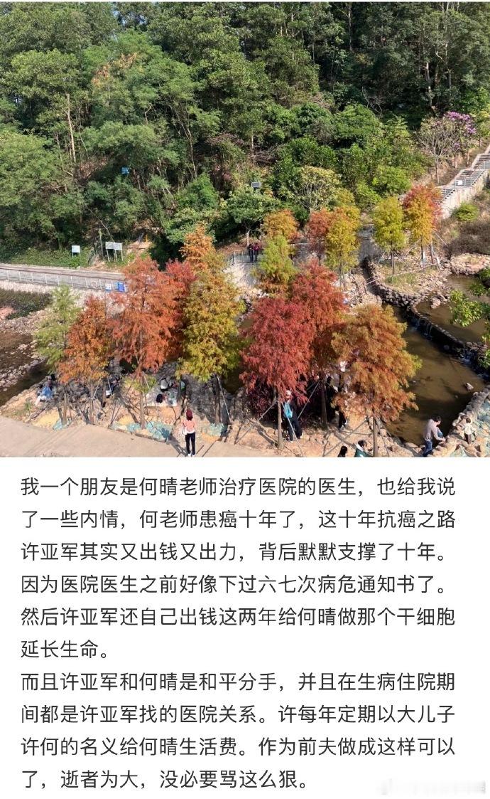 曝何亚军一直出钱支持何晴抗癌曝何亚军出钱给何晴做干细胞延长生命 有网友曝何亚军一