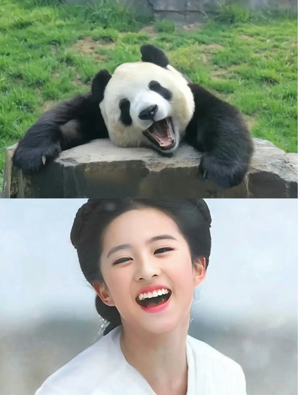 能不能禁止刘亦菲和人打招呼顶级演员是这样的 可塑性太高了刘亦菲的任何一个动物塑我