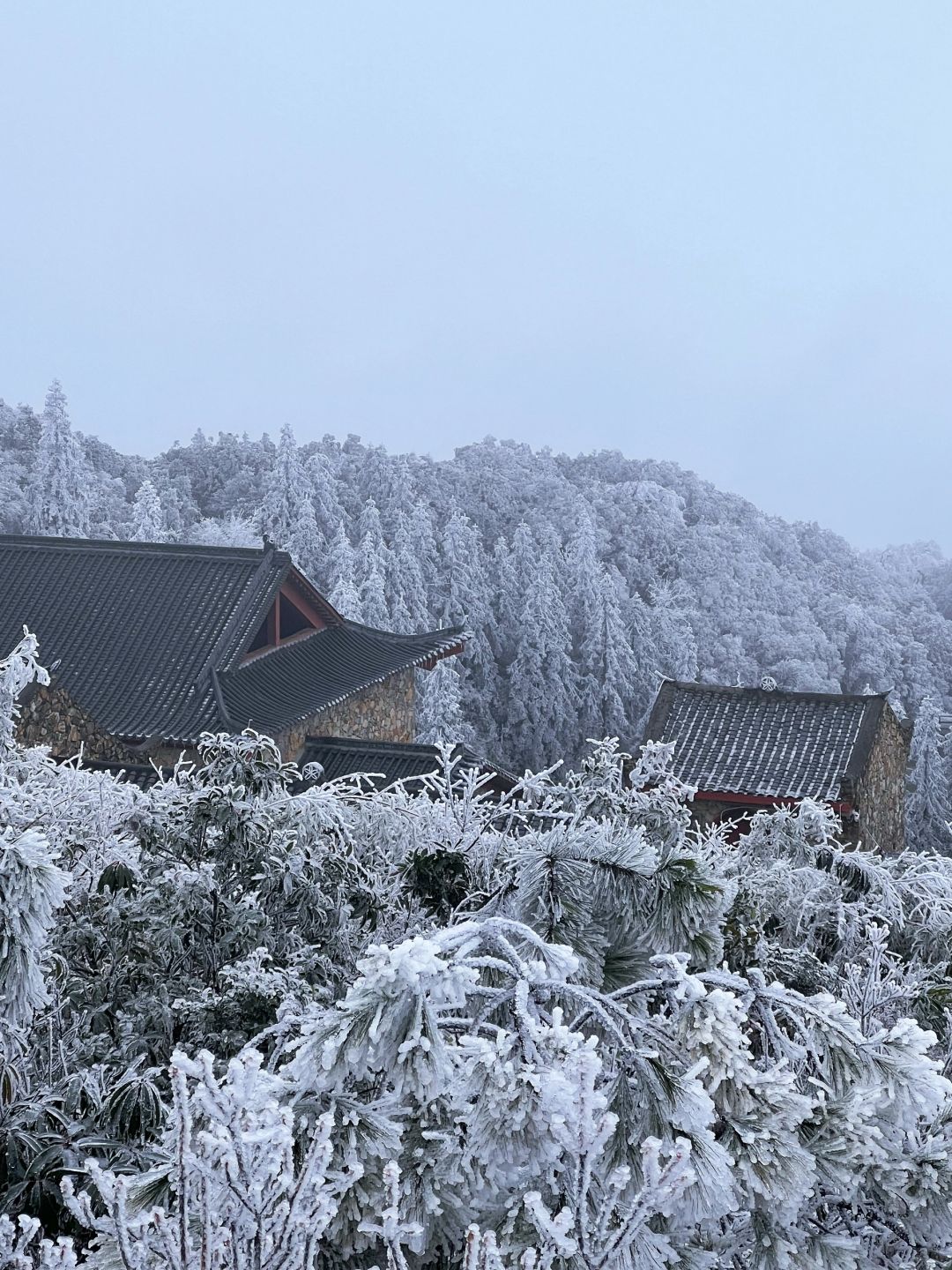 山中有雾，林中有凇|广州自驾4h看雪攻略