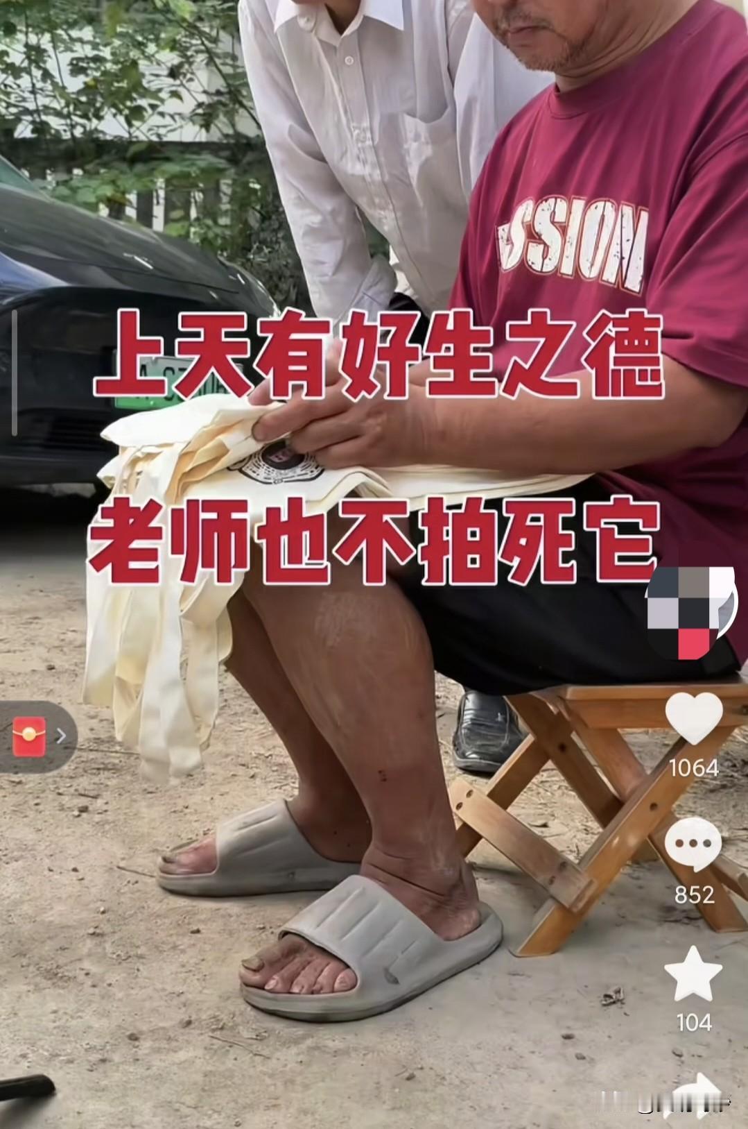 匪夷所思，匪夷所见！数只蚊子叮着沈巍的大腿吸血，苍蝇舔着沈巍的伤口，他居然可以无