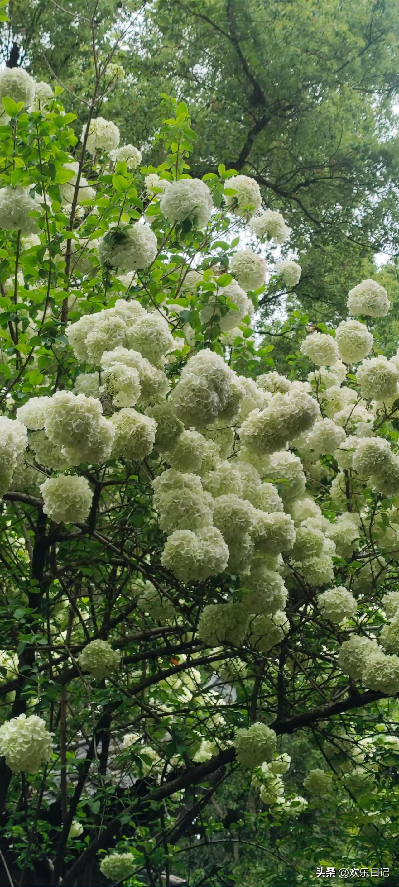 日子过着过着，就明白了。

年轻时候，什么都要争个对错。跟同事争，跟朋友争，跟家