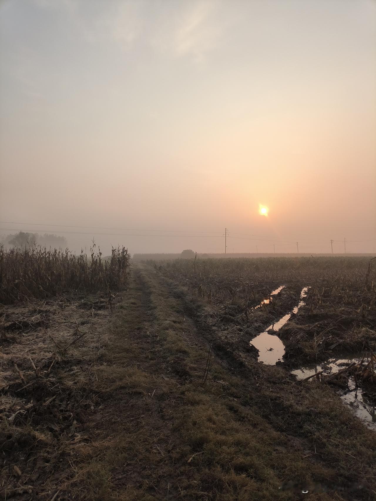 有的人天生就是受苦的命，即便家境富裕，也难以消受这份福气。
有位六十多岁的女人，