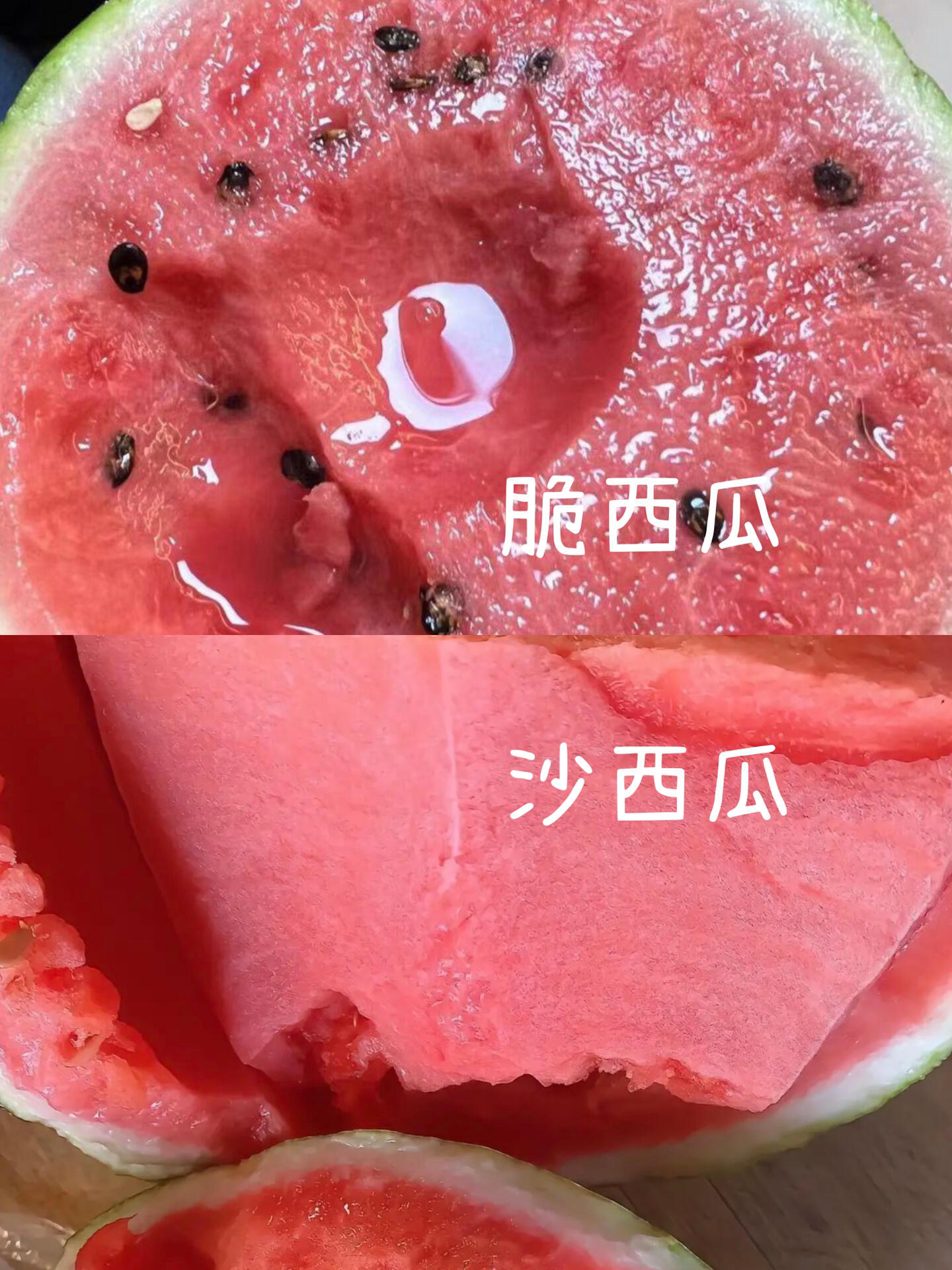橘子夜聊誓死捍卫沙西瓜！！🍉[期待] ​​​