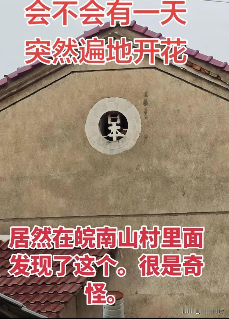 居然在皖南山村里面发现了这个，很是奇怪，会不会有一天，突然遍地开花?
以前的大连