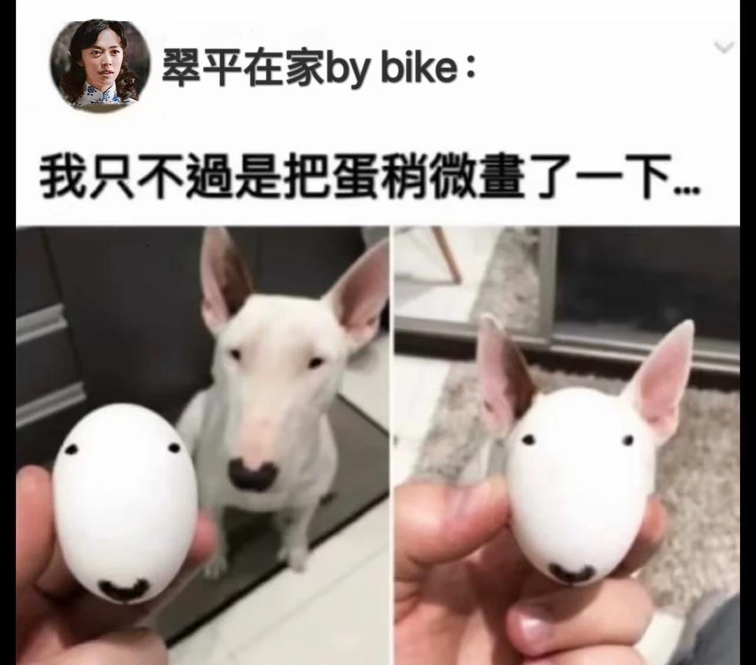 有意义meme一则
谁懂我笑点
梗图 潜伏meme 莫名其妙击中笑点 王翠平 余
