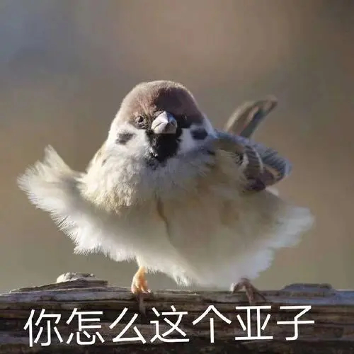 #每天一条冷知识# 人们常说“针尖对麦芒”，那麦芒到底有什么功能呢？原来，它可以
