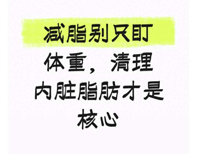 减脂别只盯体重，清理内脏脂肪才是核心