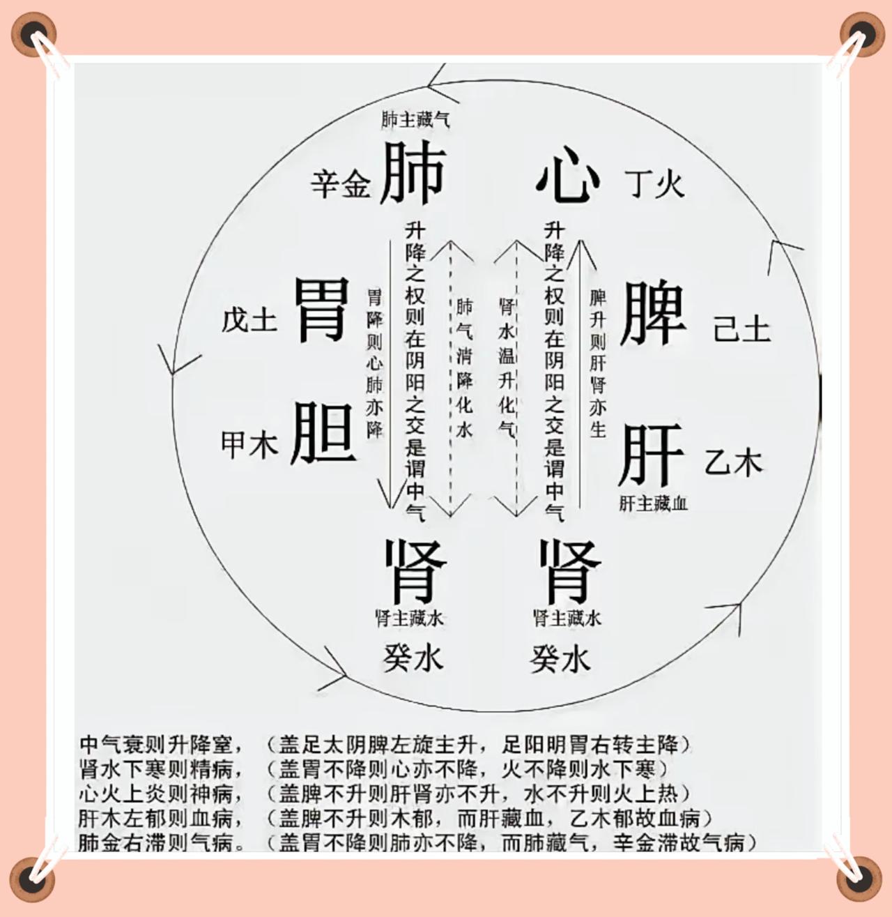 一气周流，升降出入:中医五脏病的总根源