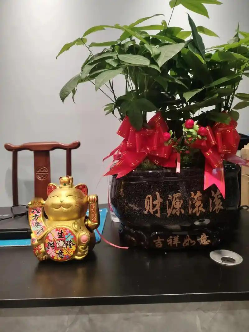 钱不是万能的，但是没有钱是万万不能的。//@童心张大叔:一分钱难倒英雄汉，
一念