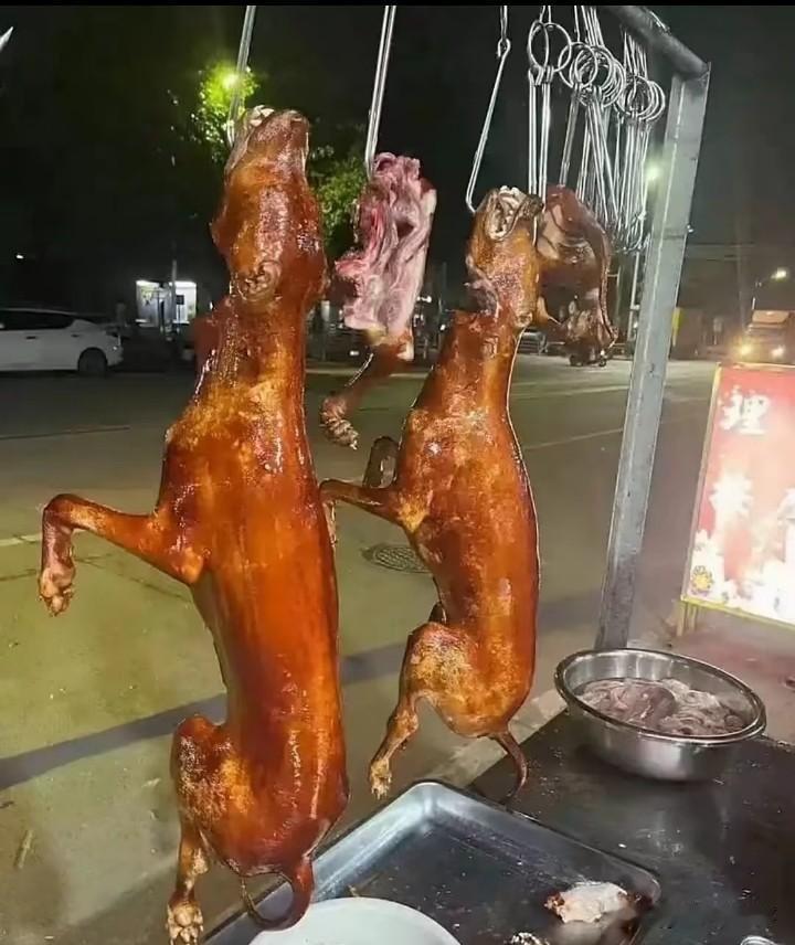 能和狗肉媲美的只有驴肉了吧，真的好香啊
什么时候能给狗肉和驴肉的价格打下来啊，好