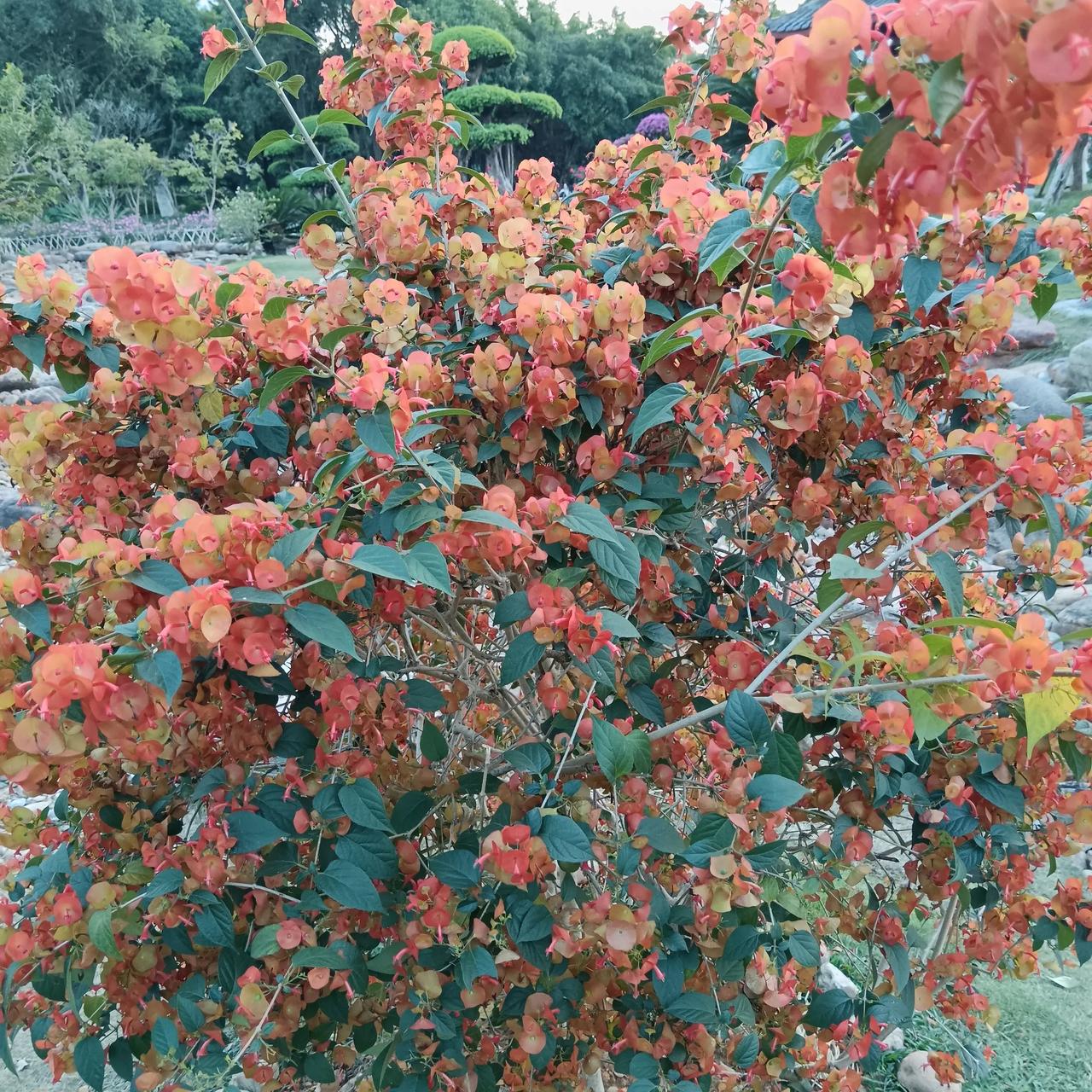 昨天星期五确实难，今天是11月23日，大家看好什么号呢？

个人大概看了一下03