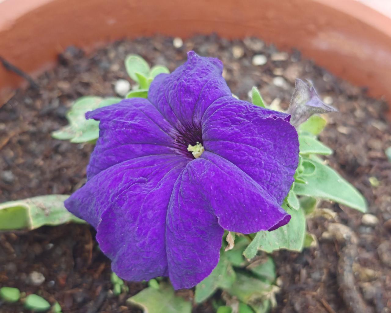 有些中老年人觉得安定类药物好、能安神延年，劝不动也就算了。
但青少年绝对不能随便