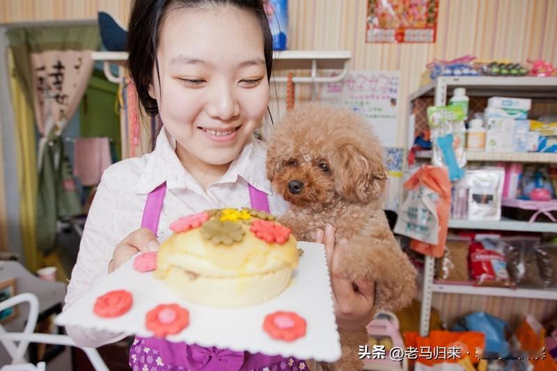 宠物蛋糕一年卖2万个，月赚多少？我把真实账本摊开

去年华商韬略报道了一个真实案