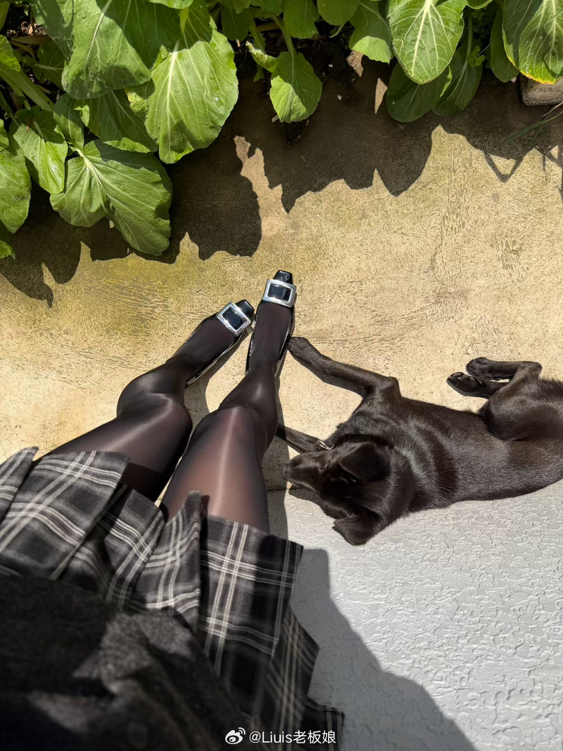 我跟狗子谁更亮