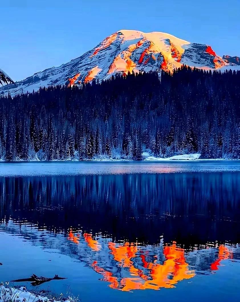 “良心被狗吃了”——就因为选择树葬，年轻人竟被墓园销售这样道德绑架！最近殡葬行业