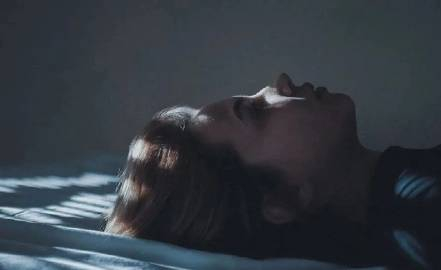 ²⁰²⁴     结不结婚都会后悔     巷子里的猫很自由，却没有归宿    