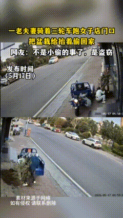 愚蠢的偷树贼被抓住了！

山东薛城一对夫妻大白天开着三轮车来偷人家摆在店外的石榴