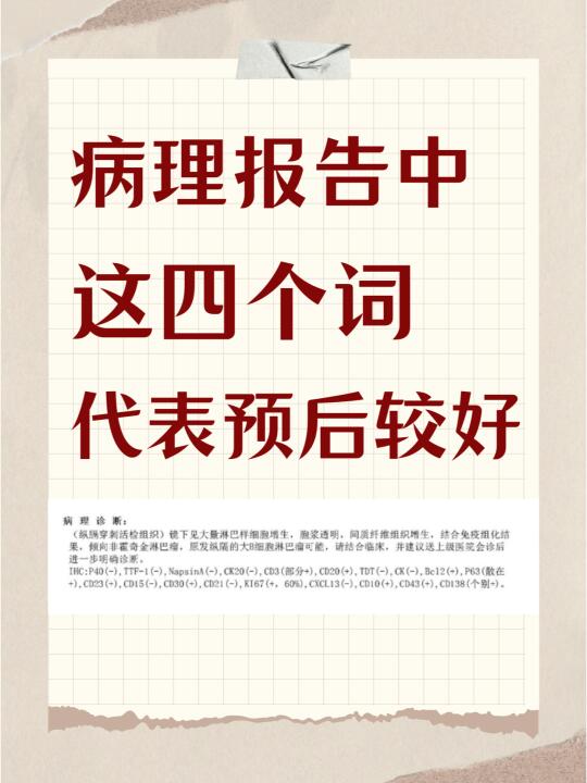 病理报告出现这4个指标，预后相对乐观！