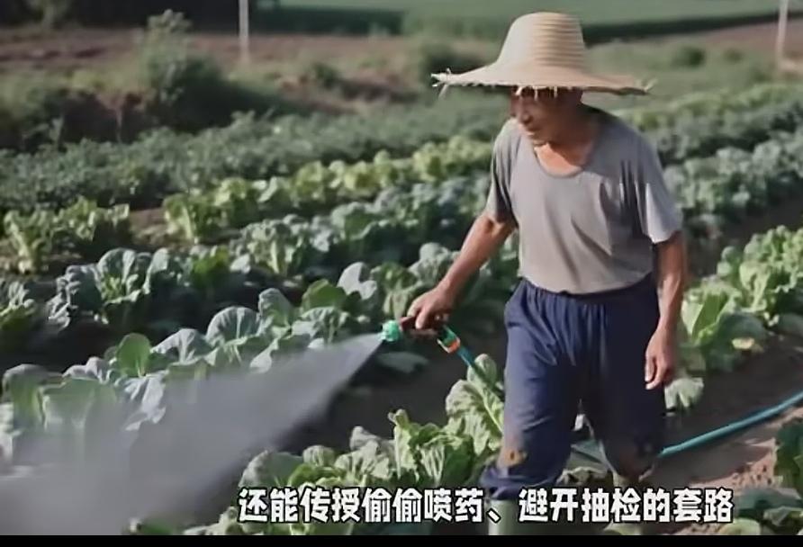 湖北天门毒蔬菜事件绝对不是单例。

我们庞大的食药监局公务员都在干什么呢？是不是