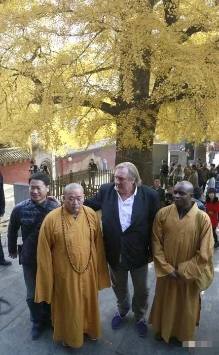 银杏树下站着两名和尚，看来看去，还是释永信看得顺眼。另外一个黑人和尚，怎么看都没