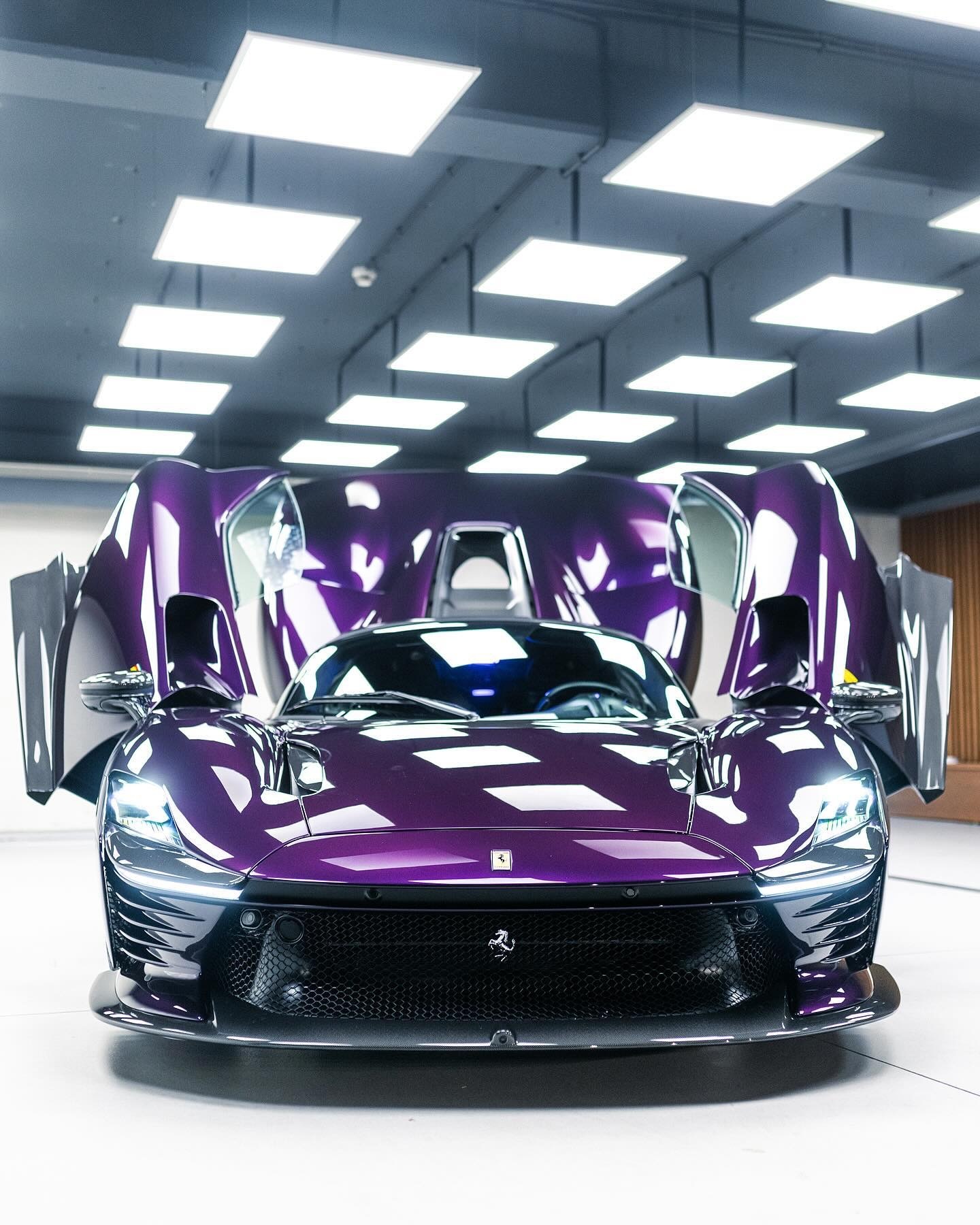 卡托维滋 Daytona SP3（Viola Hong Kong） ​​​