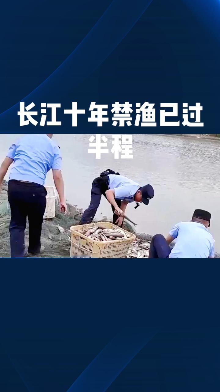 长江十年禁渔已过半程，成效如何？土著鱼类数量增加36种，但非法捕捞仍时有发生。