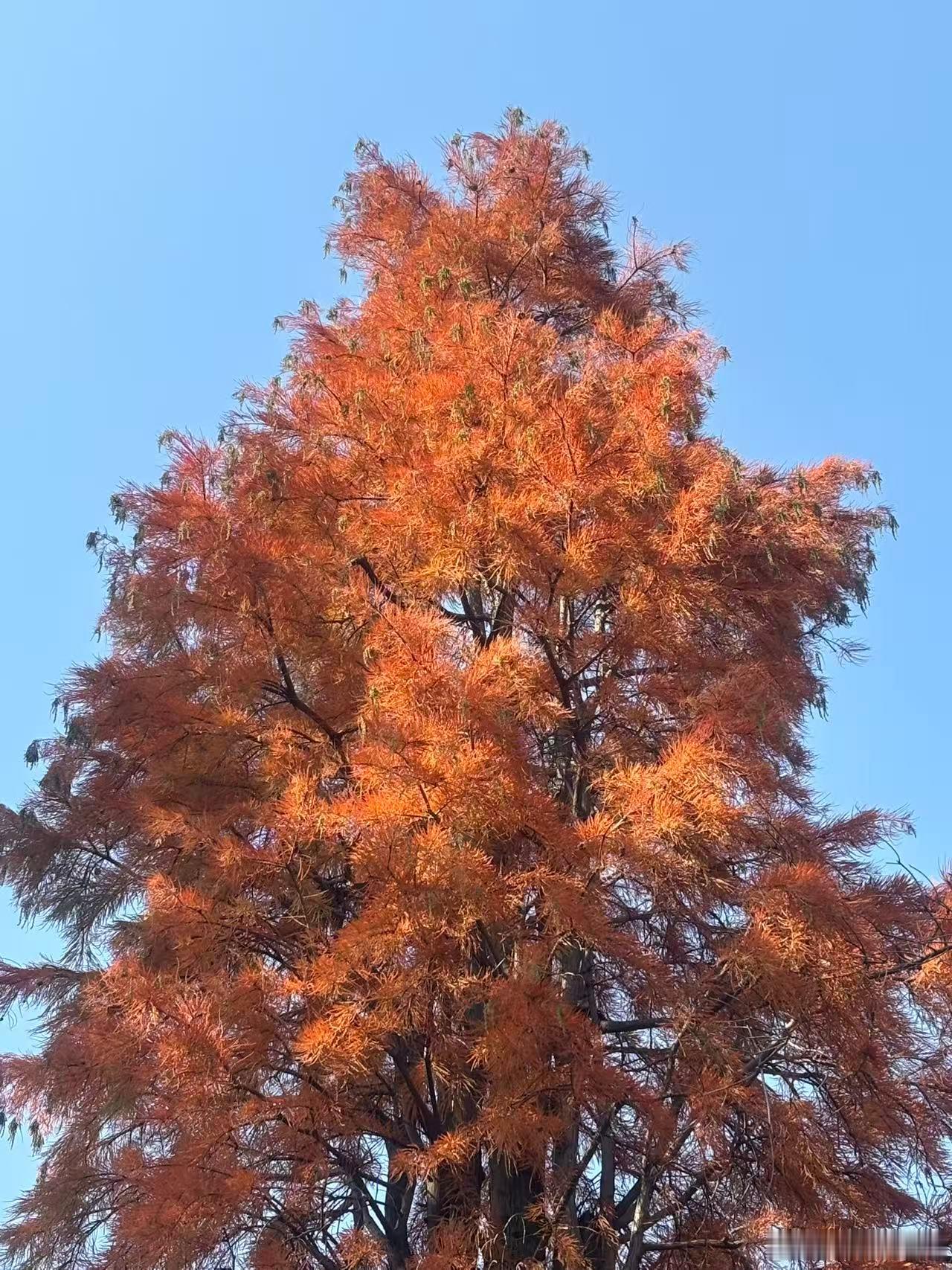 如何理解这家公司的五个问题。第一，这家公司是否可持续？是否进一步可以拓展它的护城