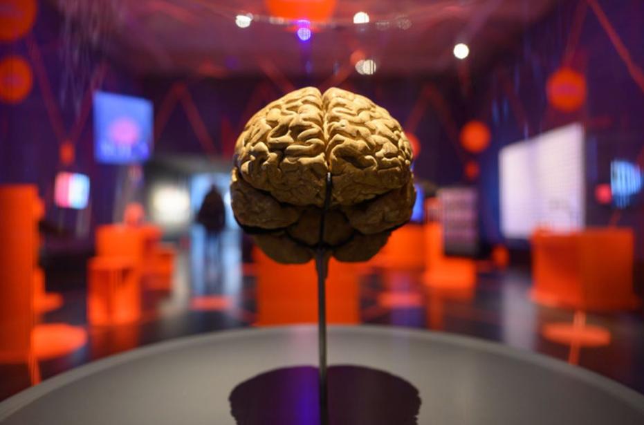 重大突破！针灸竟能攻克乳腺癌幸存者“脑雾”，假针灸也有效
 
12月12日圣安东