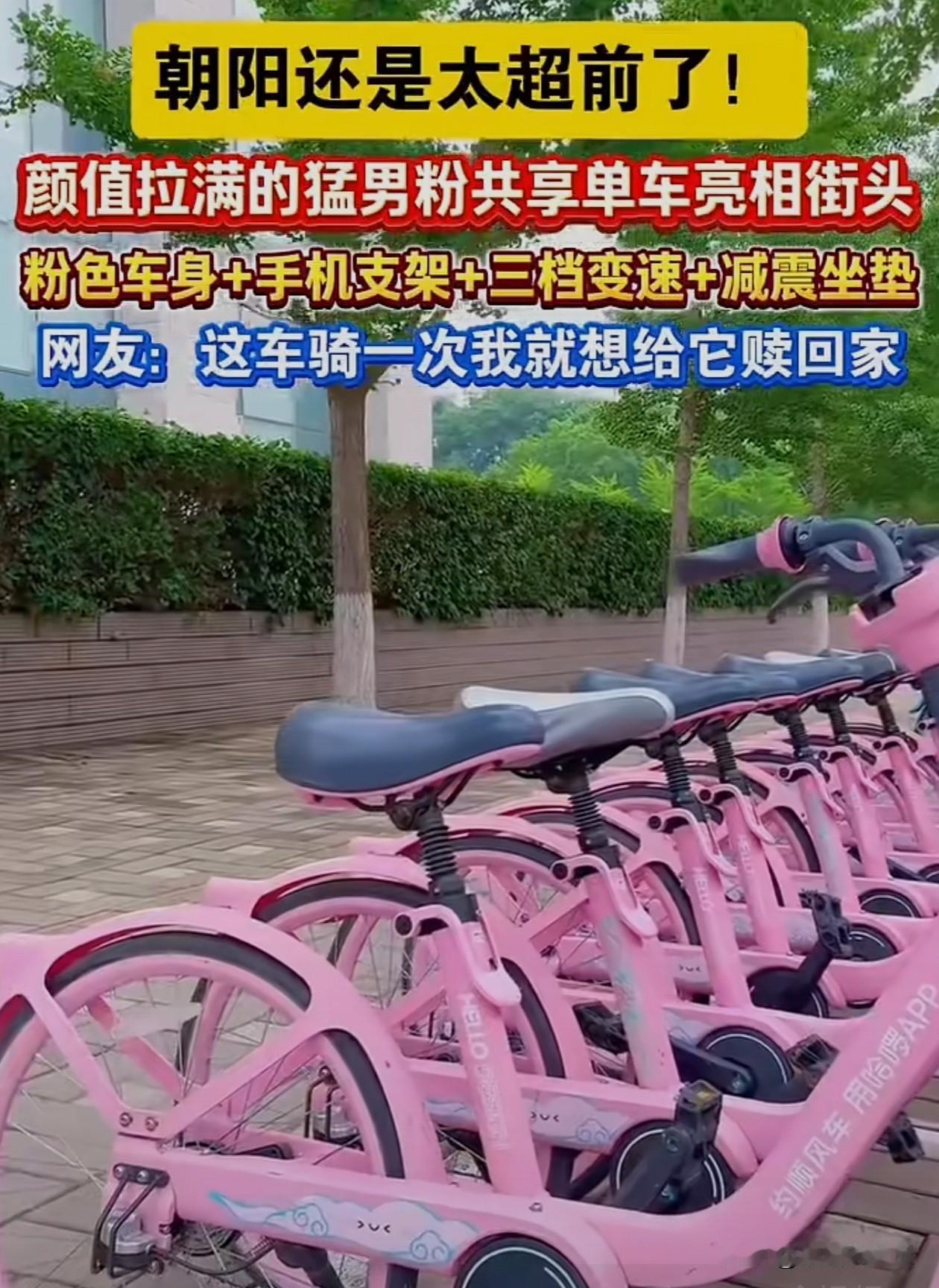 粉色的单车，谁想骑。