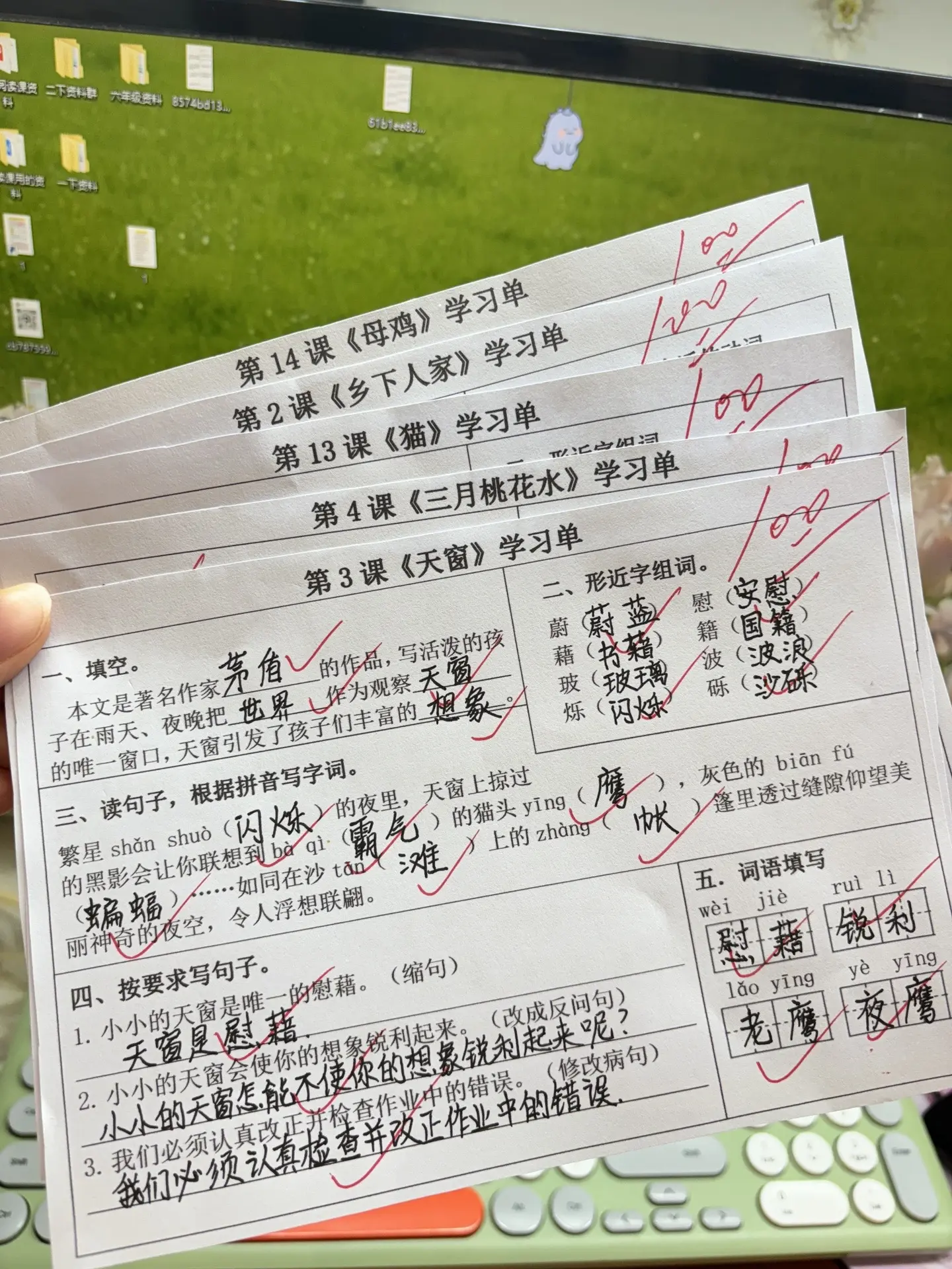 语文期中复习每课复习小单，一课一张，夯实基础！