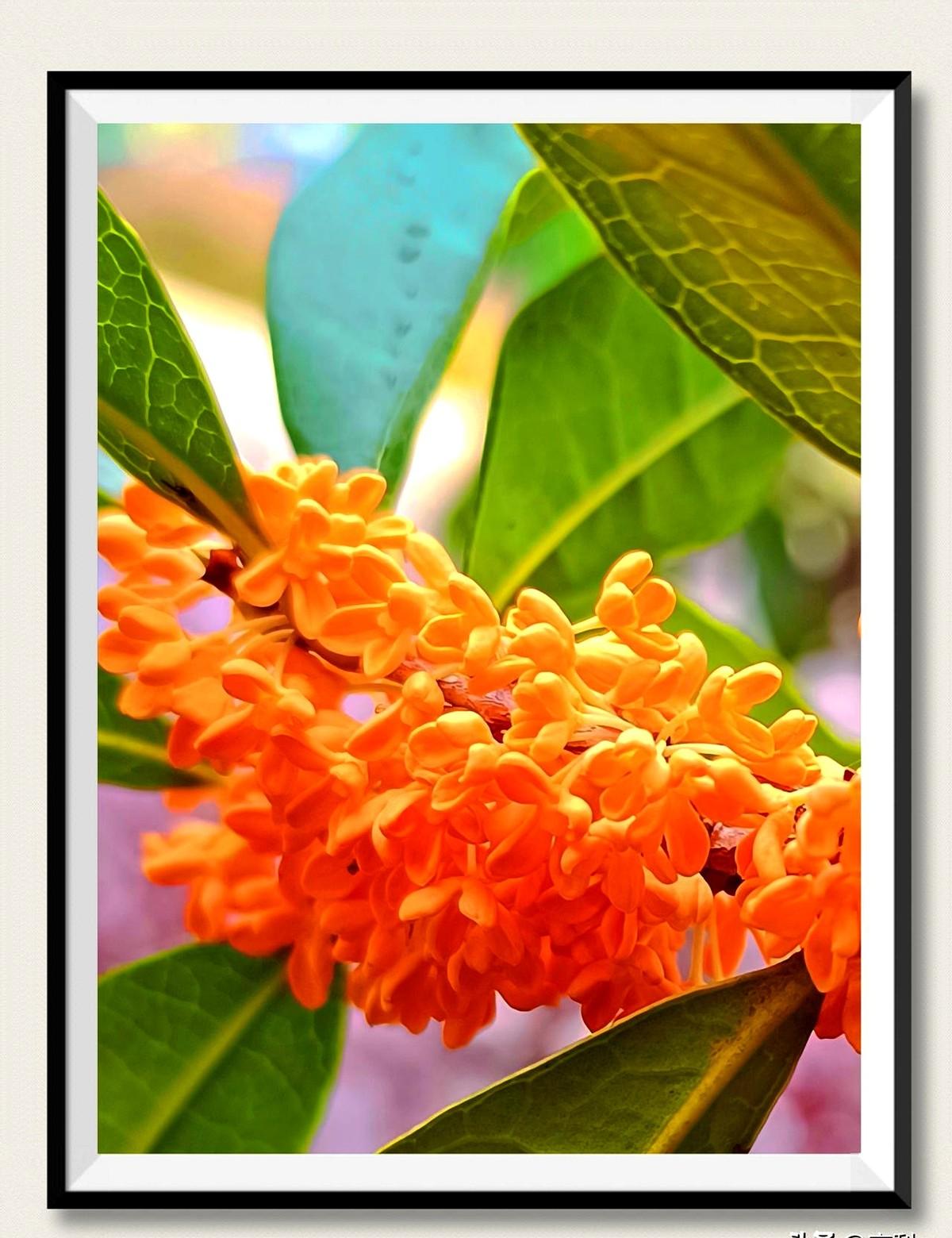 “山穷水尽”那一刻，你大脑里其实亮着一盏灯。

哥伦比亚把一群人塞进fMRI，让