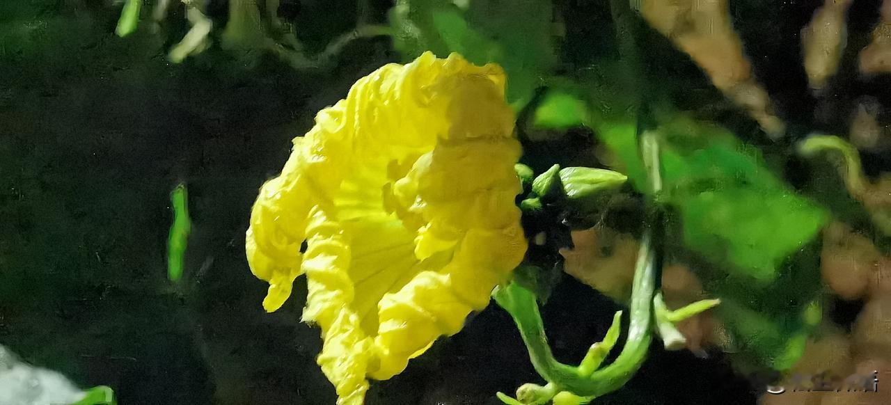 无论甜的还是咸的，和家人团聚就是甜的[燃烧的心][燃烧的心][燃烧的心]。
今年