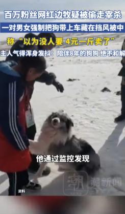 河南宁陵，郭先生养的边牧“锄头”在路边陪老人看车，一对男女掐着脖子按着腿强行带走