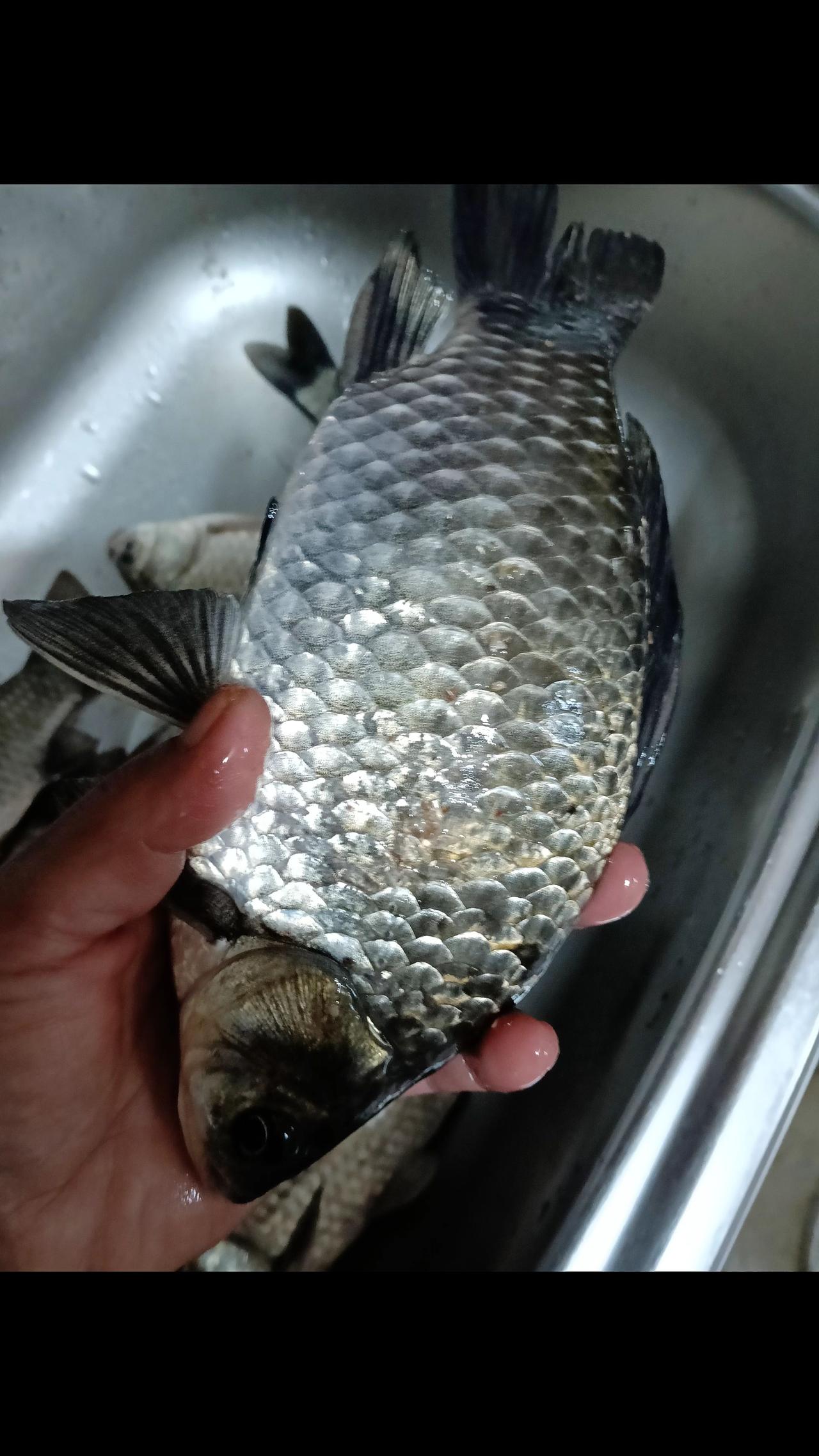 抓紧钓鱼，不要怕冷