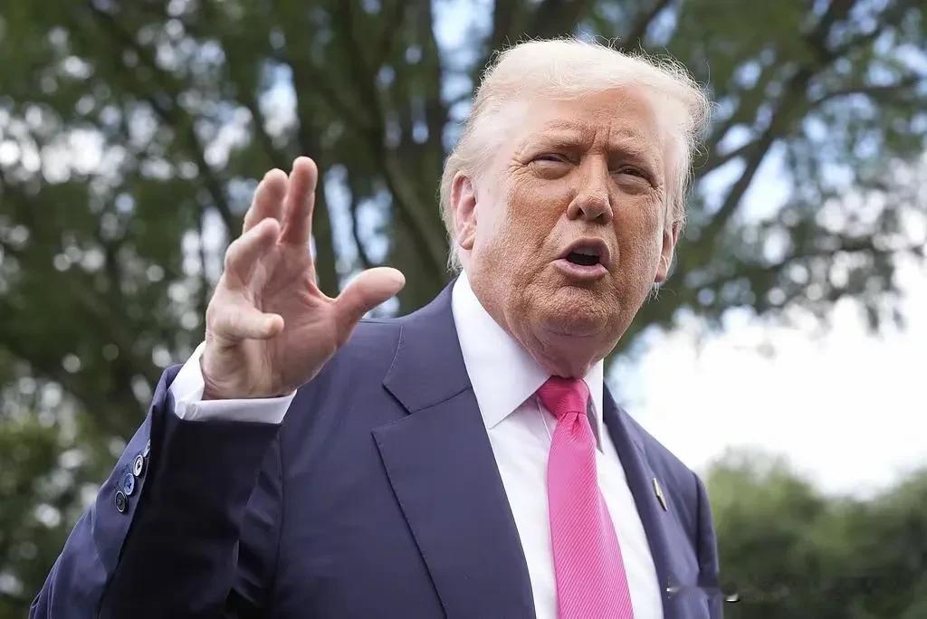 信不信？

只要被美国加征关税的国家不妥协。那么，特朗普称关税征收将于8月1日开