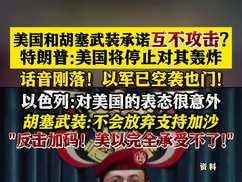 特朗普：立即停止轰炸胡塞武装

特朗普急着叫停轰炸胡塞武装，是在计算一张华尔街都