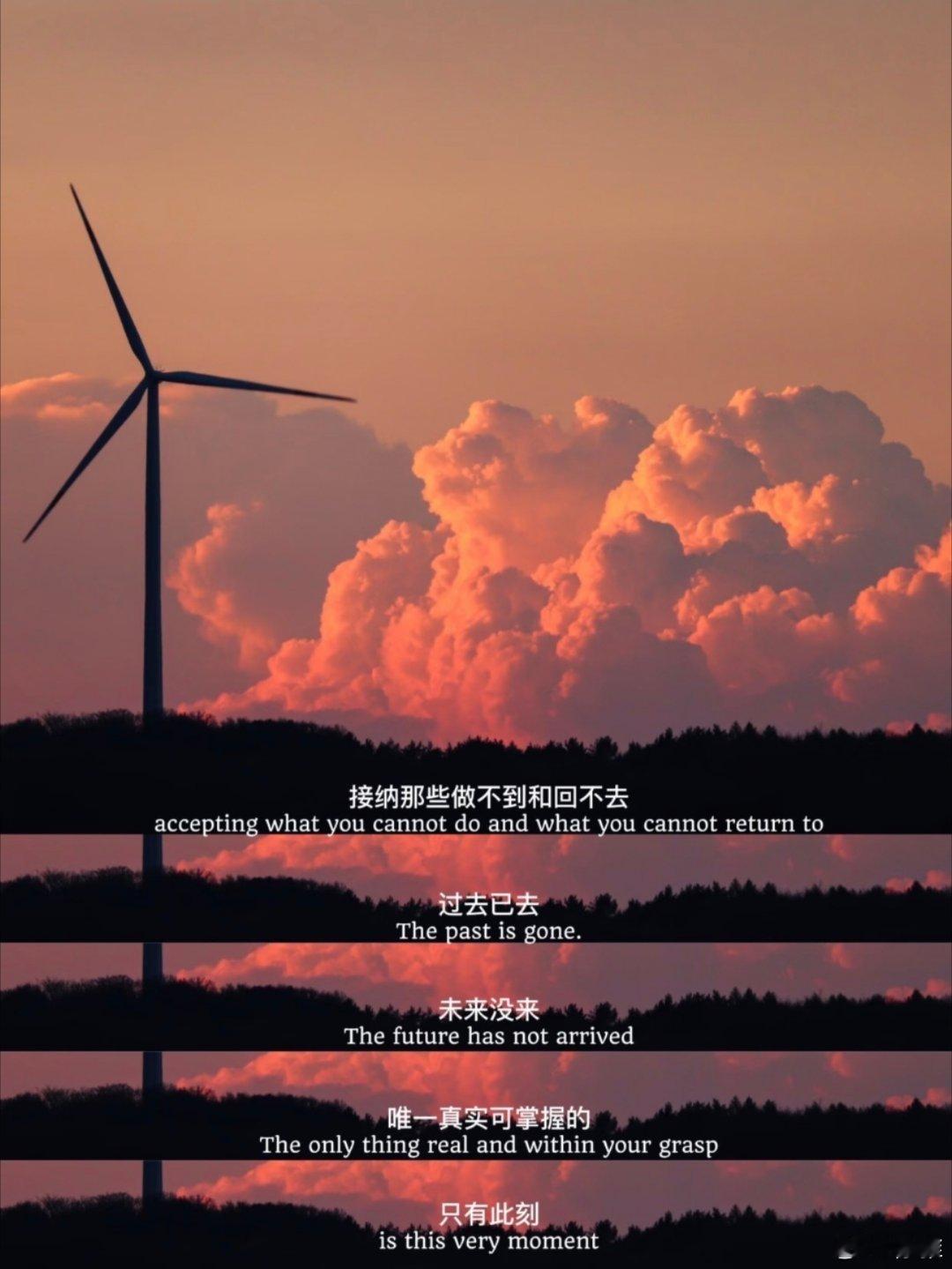 被这段话治愈了人生没有标准答案 