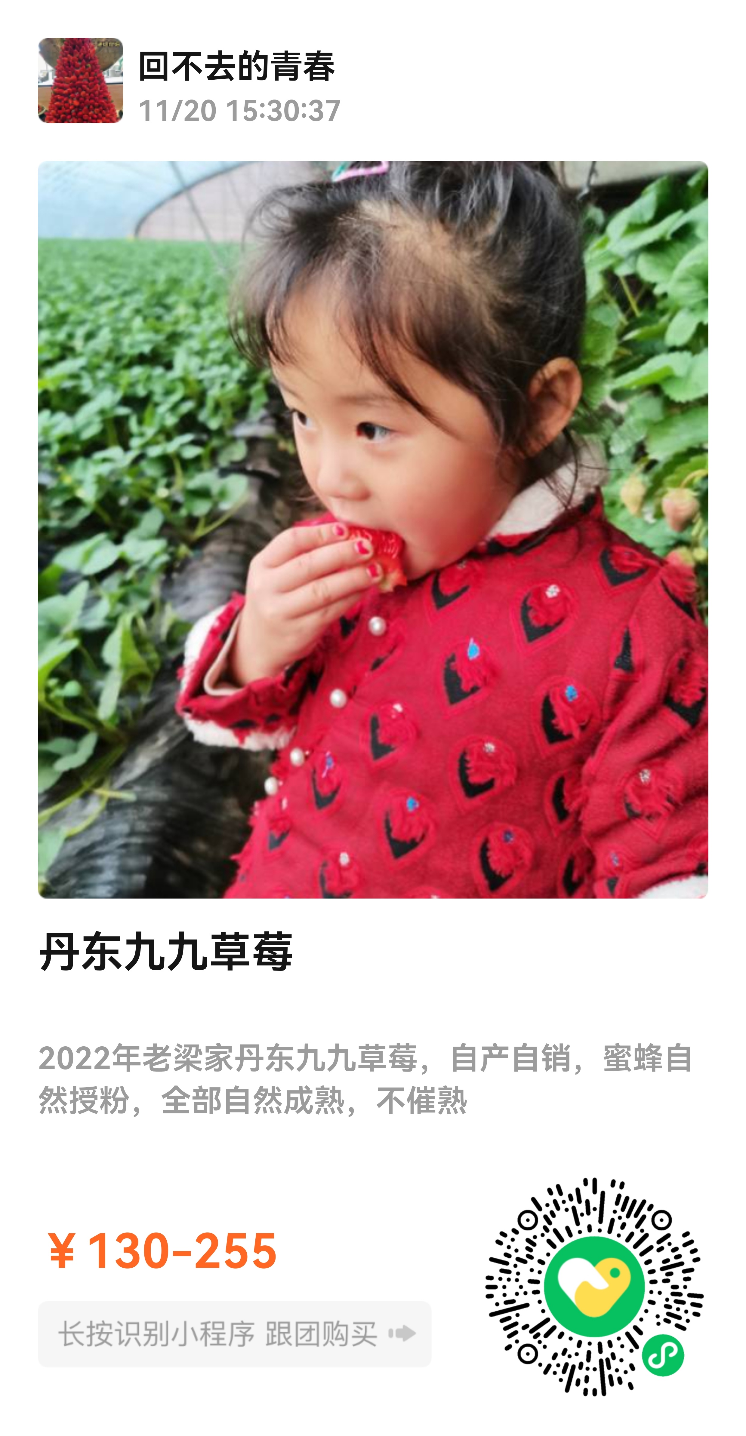 🍓丹东九九草莓看，犹如红玛瑙般雍容华丽闻，犹如兰花般沁人心扉品，犹如初恋般美好