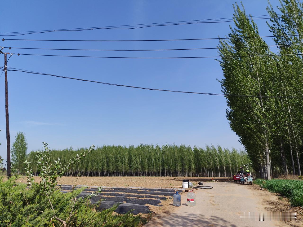 春日生活打卡季 春天的山野，是一场不可错过的视觉盛宴。四月二十一日，春风和煦，温