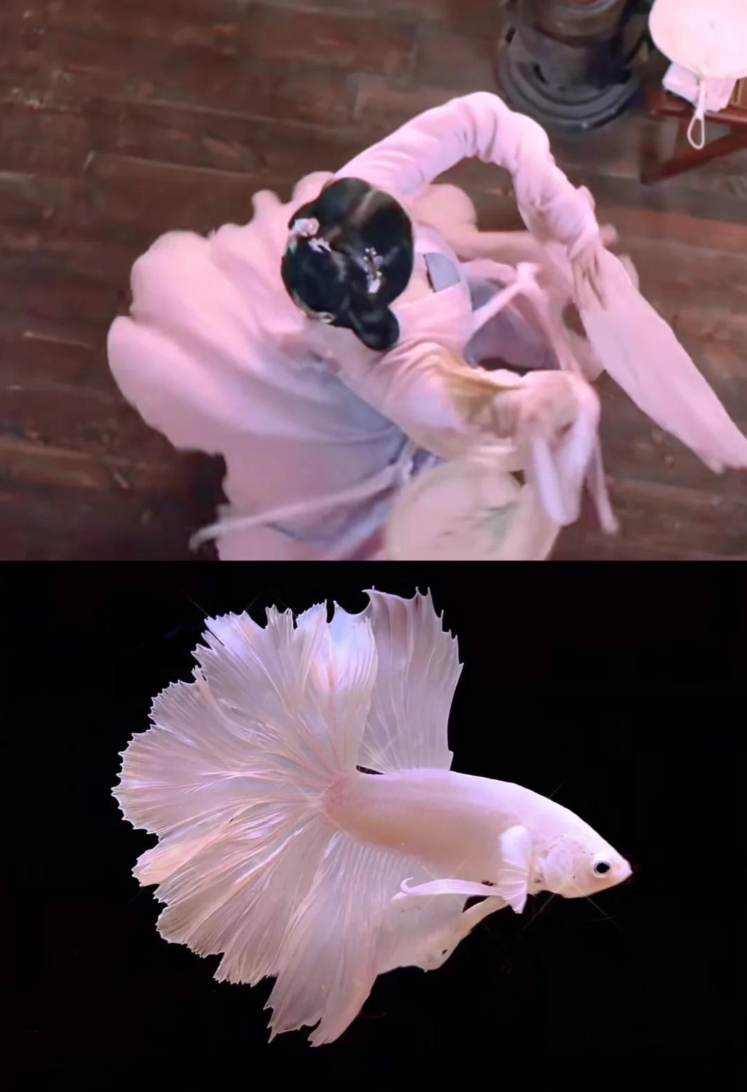 刘亦菲你莫不是粉色斗鱼成精了哈哈
这个角度下也太像了吧，赵盼儿怎么这么好看！
	