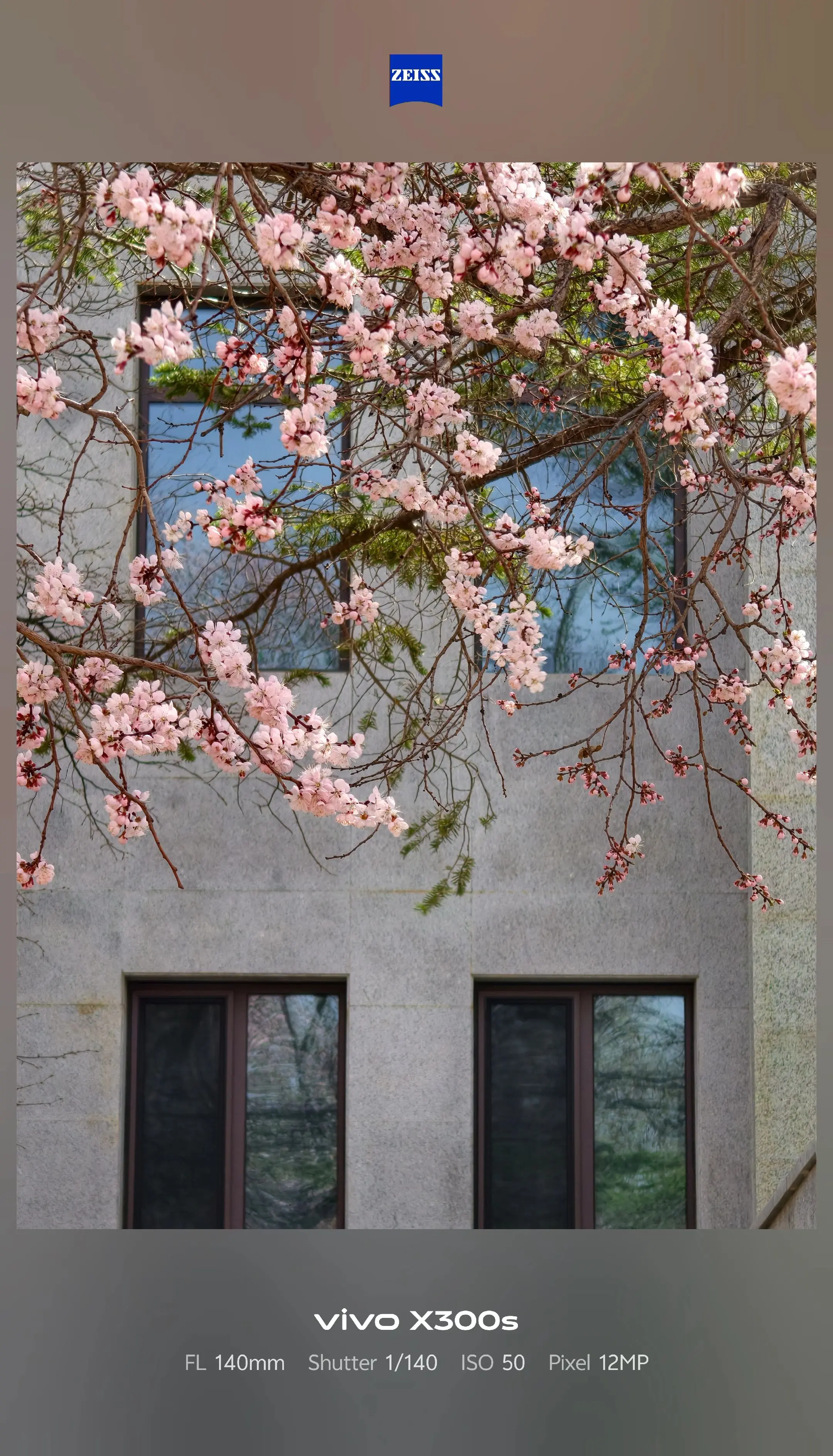 带着vivo X300s才明白，不要辜负眼前季节这句歌词的含义。  最...