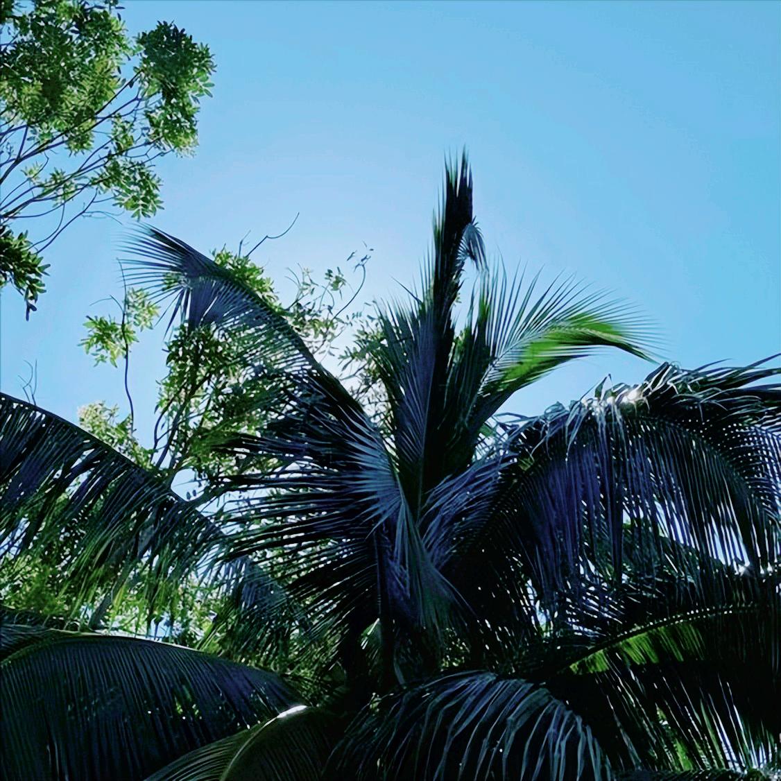 中俄战略安全磋商新共识中2个坚决传递出3个重要信号
 
莫斯科时间12月2日，中