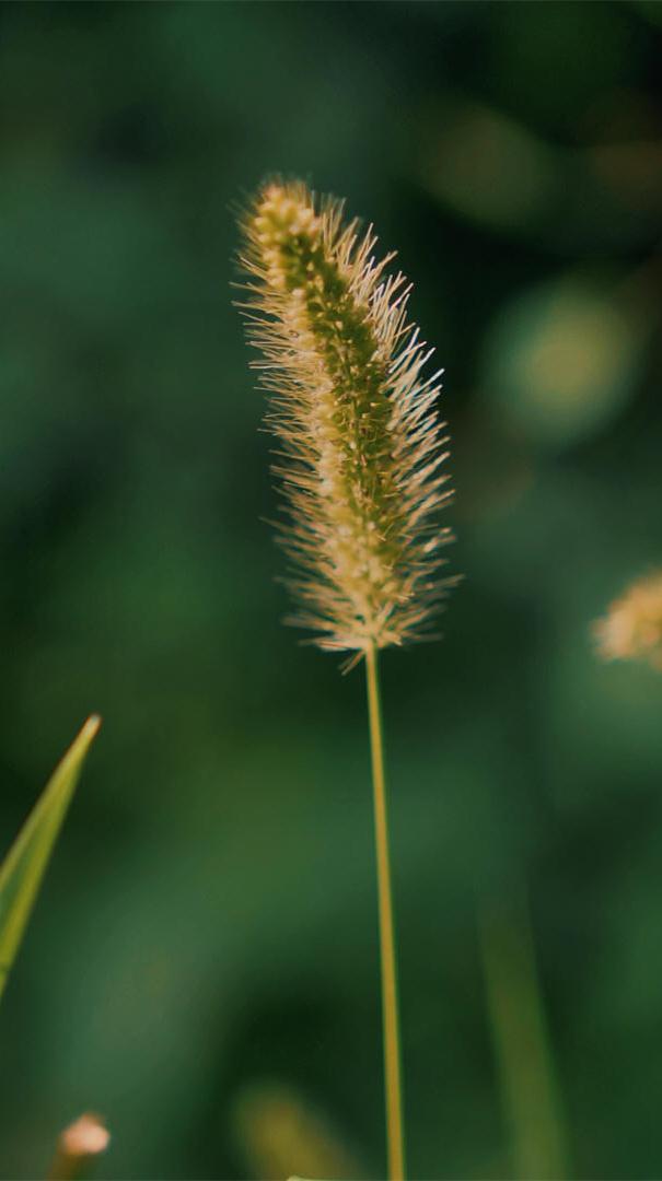 今天是公元2026年4月17日,星期五,农历三月初一.
丙午年 壬辰月 辛酉日;